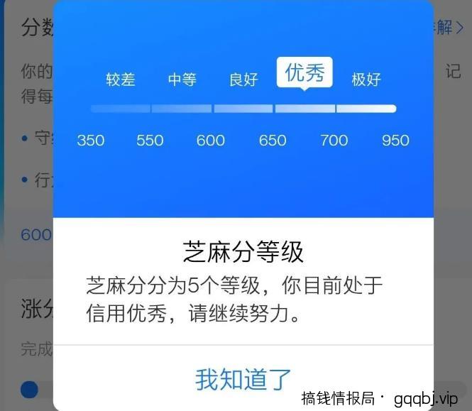 闲鱼卖货，月入3W+详细玩法-搞钱情报局