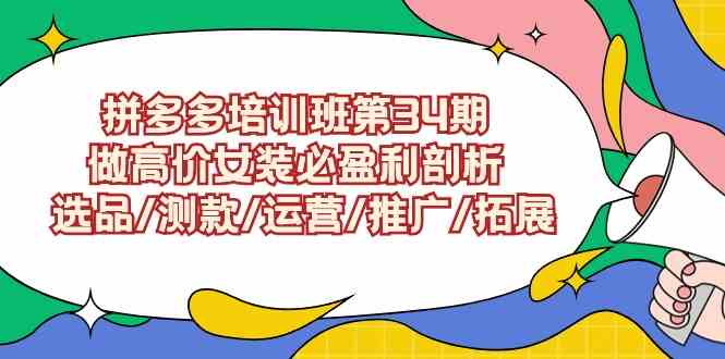 （9333期）拼多多培训班第34期：做高价女装必盈利剖析  选品/测款/运营/推广/拓展-搞钱情报局