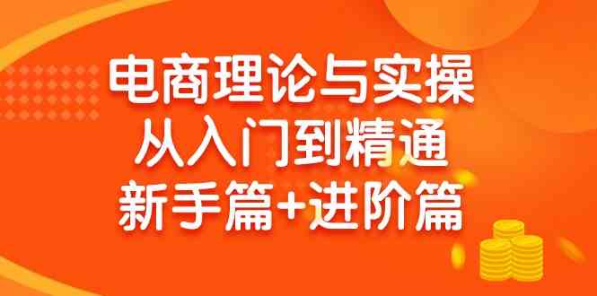 （9576期）电商理论与实操从入门到精通 新手篇+进阶篇-搞钱情报局