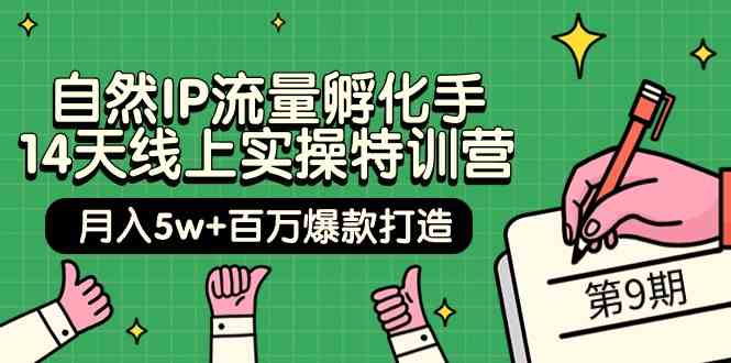 （9881期）自然IP流量孵化手 14天线上实操特训营【第9期】月入5w+百万爆款打造 (74节)-搞钱情报局