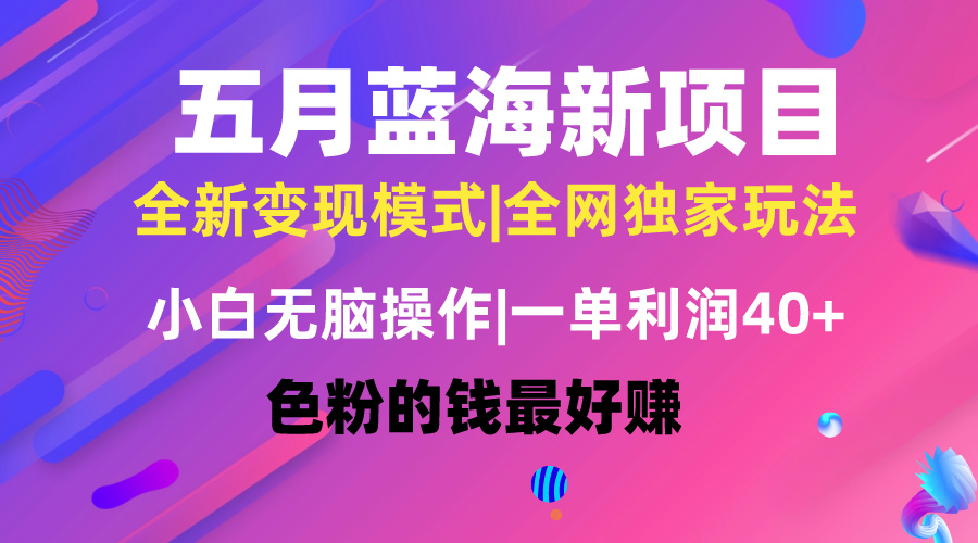 （10477期）五月蓝海项目全新玩法，小白无脑操作，一天几分钟，矩阵操作，月入4万+-搞钱情报局