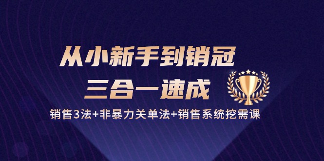 （10799期）从小新手到销冠 三合一速成：销售3法+非暴力关单法+销售系统挖需课 (27节)-搞钱情报局