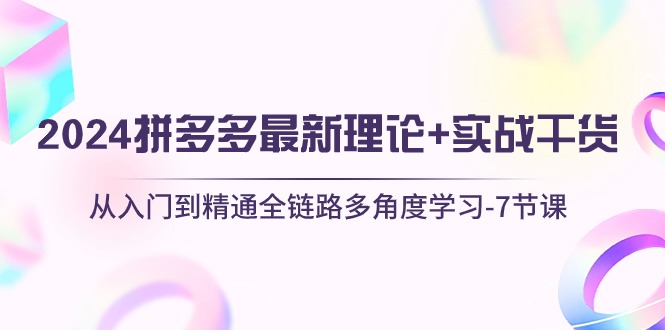 （10816期）2024拼多多 最新理论+实战干货，从入门到精通全链路多角度学习-7节课-搞钱情报局