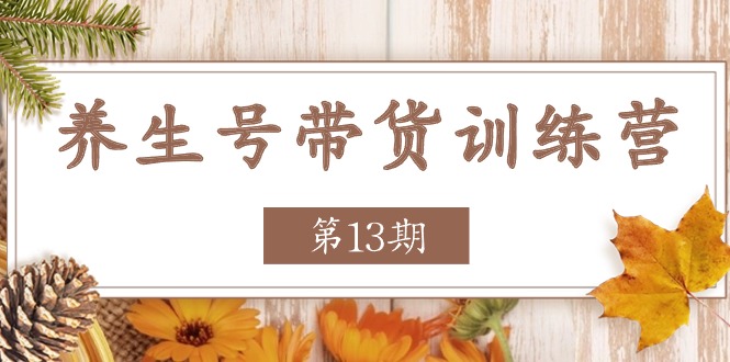 （11275期）养生号-带货训练营【第13期】收益更稳定的玩法，让你带货收益爆炸-搞钱情报局