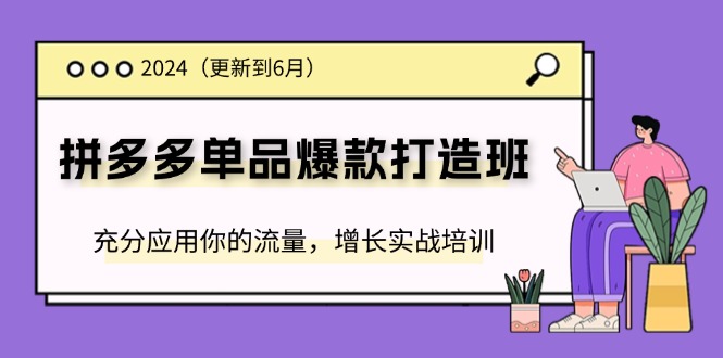 （11556期）2024拼多多-单品爆款打造班(更新6月)，充分应用你的流量，增长实战培训-搞钱情报局