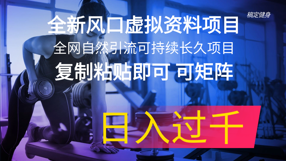 （11587期）全新风口虚拟资料项目 全网自然引流可持续长久项目 复制粘贴即可可矩阵…-搞钱情报局