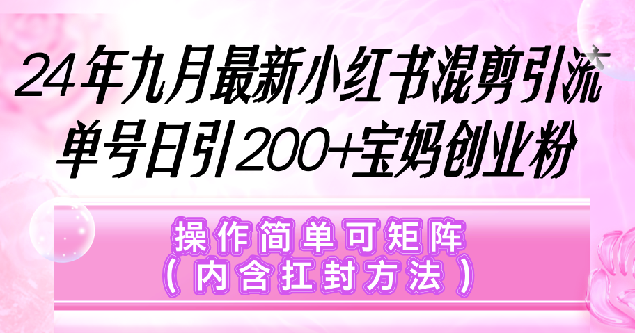 （12530期）小红书混剪引流，单号日引200+宝妈创业粉，操作简单可矩阵（内含扛封…-搞钱情报局