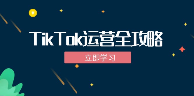 （12739期）TikTok实战运营全攻略：从下载软件到变现，抖音海外版实操教程-搞钱情报局